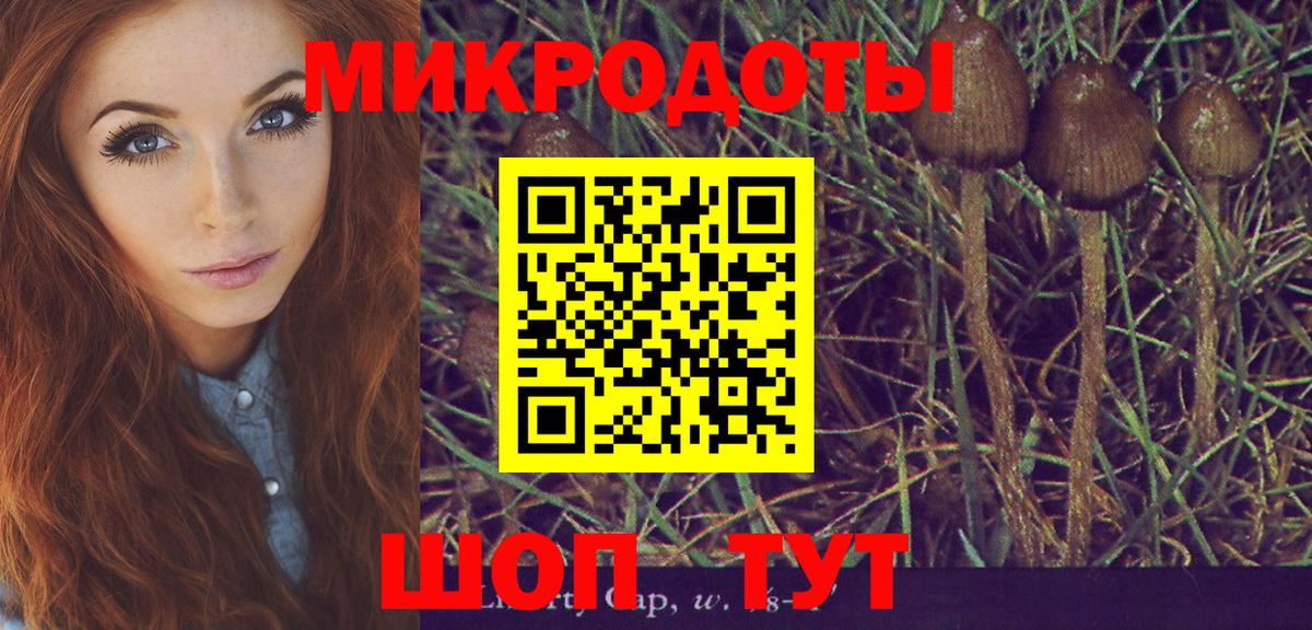 Грязи  Псилоцибиновые грибы GOLDEN TEACHER  Псилоцибиновые грибы Psilocybine cubensis  Вход с VPN 